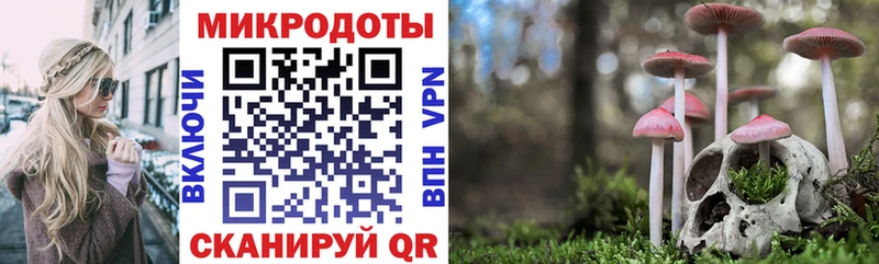 Псилоцибиновые грибы GOLDEN TEACHER  Чебоксары 