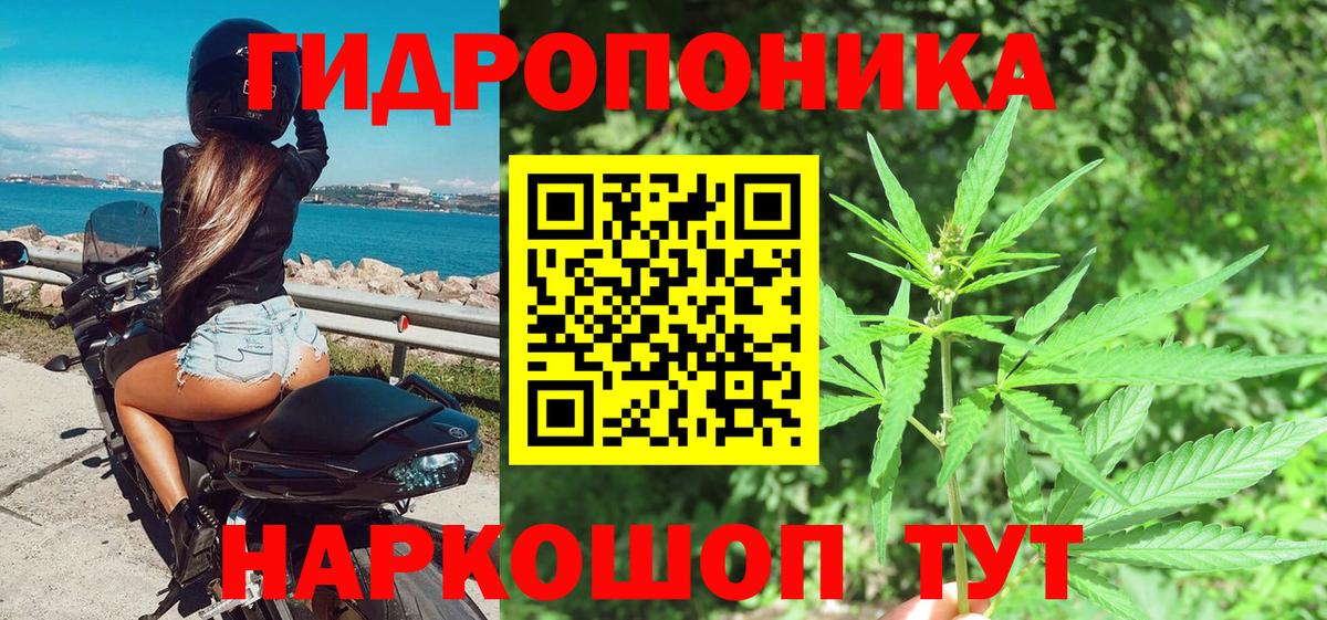 Бошки Шишки конопля Чебоксары